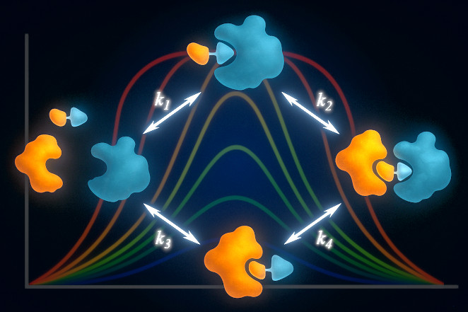 Modeling & Simulation