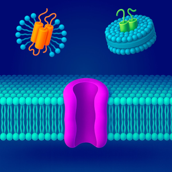 Membrane Protein Expertise