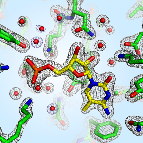 Model Building & Refinement
