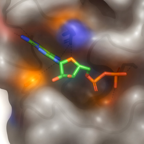 Structural Analysis & Interpretation